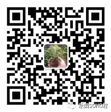 Wechat QR code